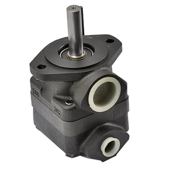 V10 vane pump